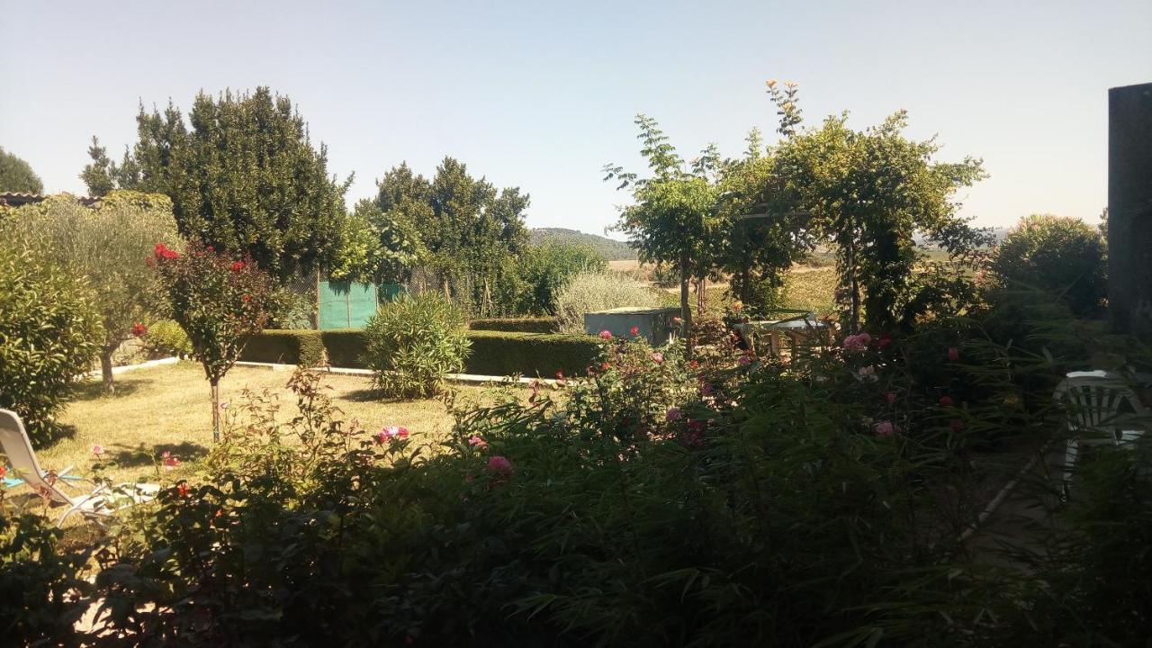 לינה וארוחת בוקר Villelongue-d'Aude La Vigneronne מראה חיצוני תמונה